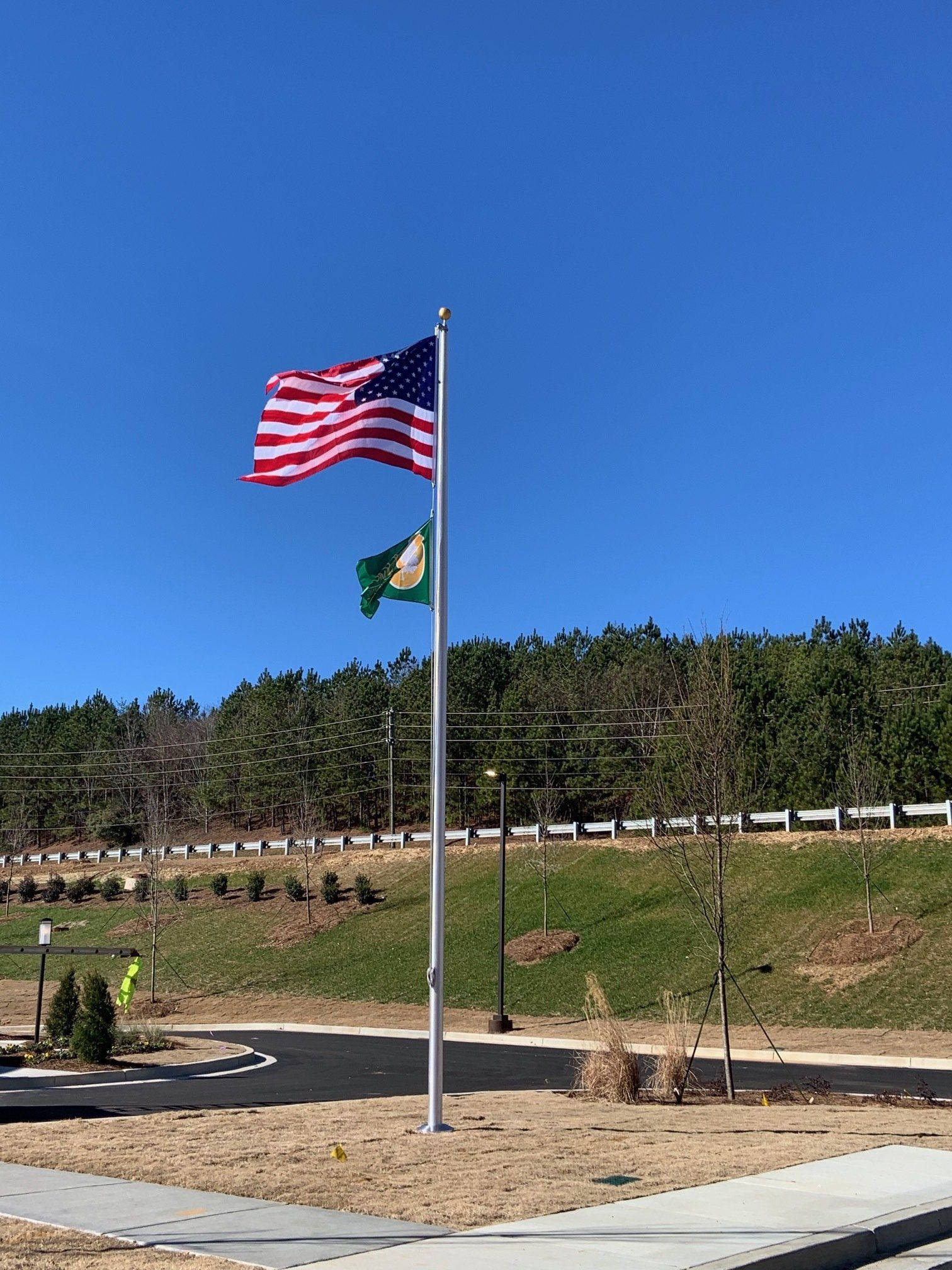 An american flag and a green flag are flying on a pole.