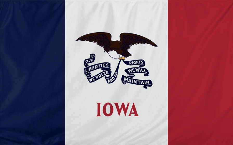 The flag of iowa has an eagle on it
