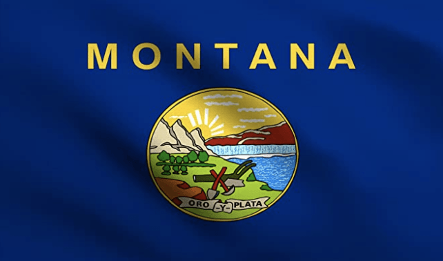 A close up of a montana state flag