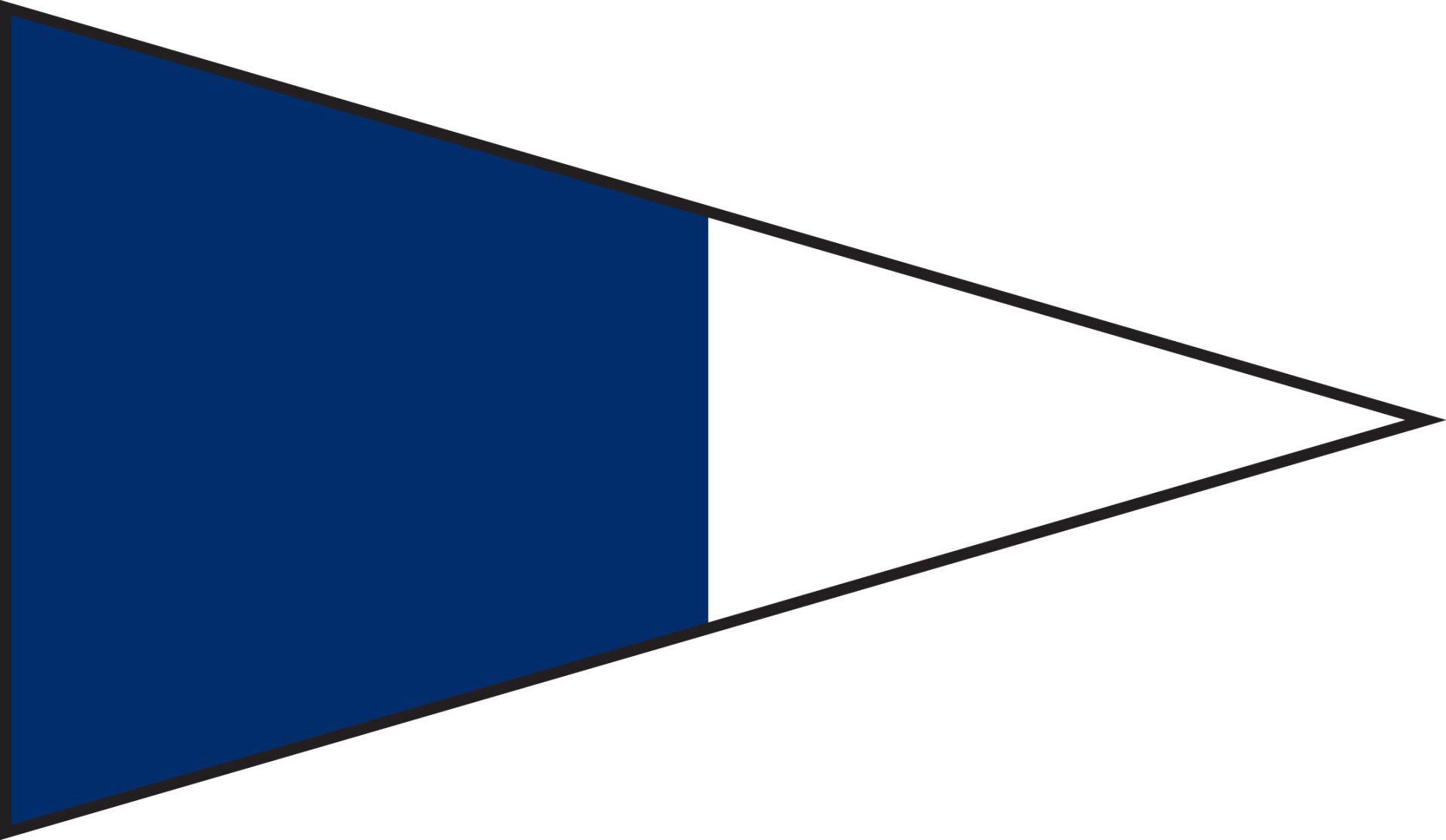 A blue and white triangle on a white background.