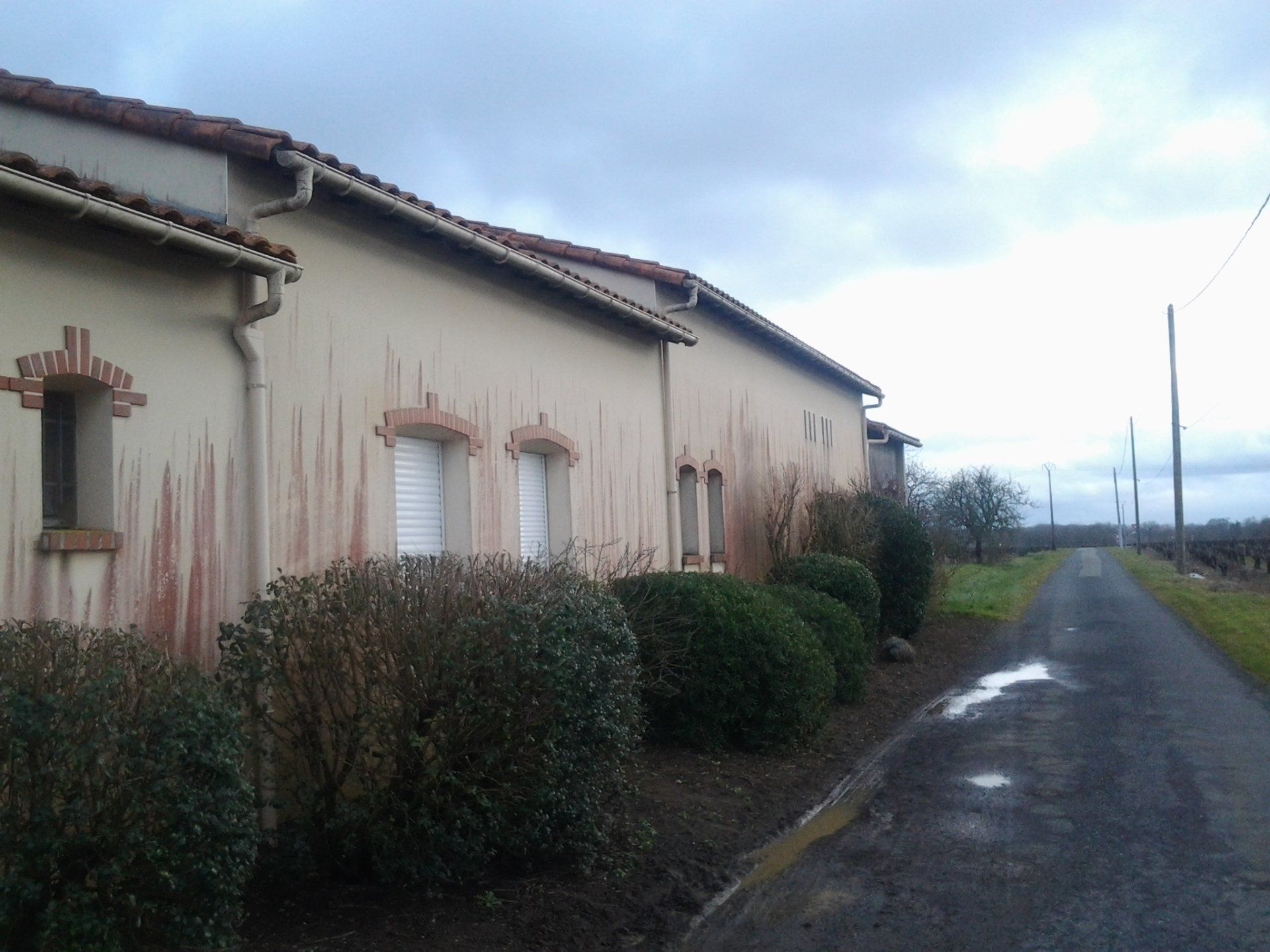 Décoration extérieure avant