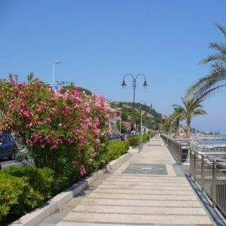 viale sul lungomare