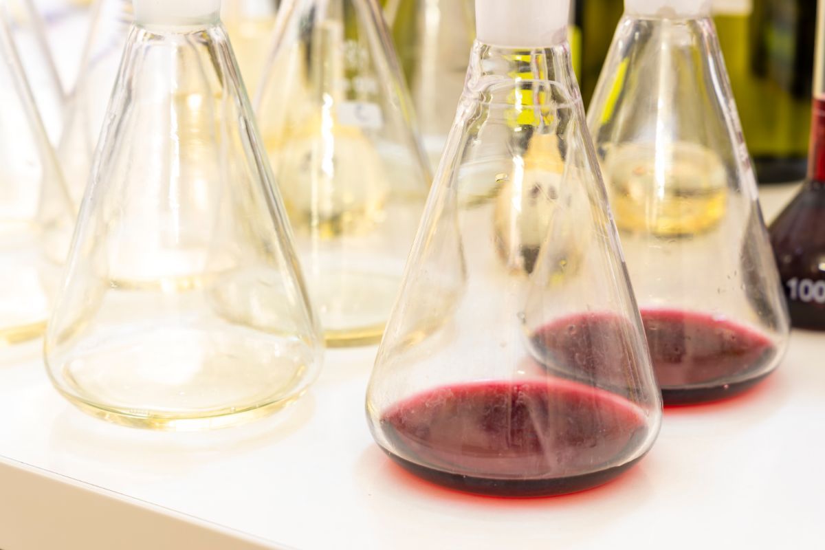 ampolle con vino rosso e bianco