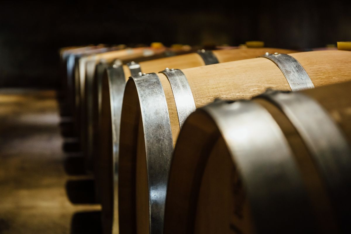 botti di vino