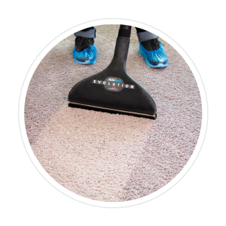 A person is cleaning a carpet with an evolution vacuum cleaner