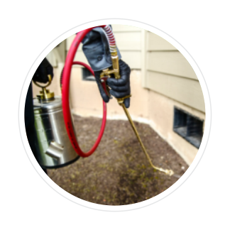 A person is spraying a house with a sprayer