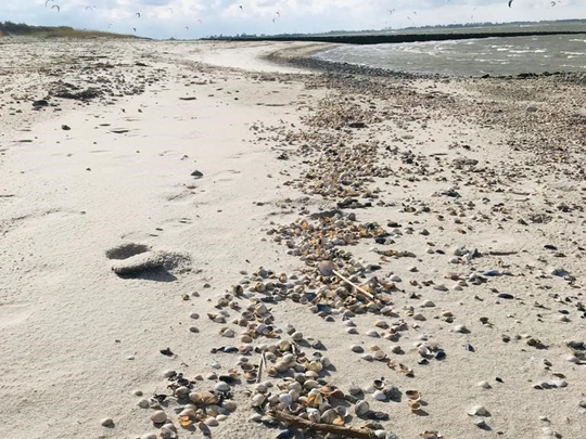Nordseestrand Hooksiel Auszeit am Meer