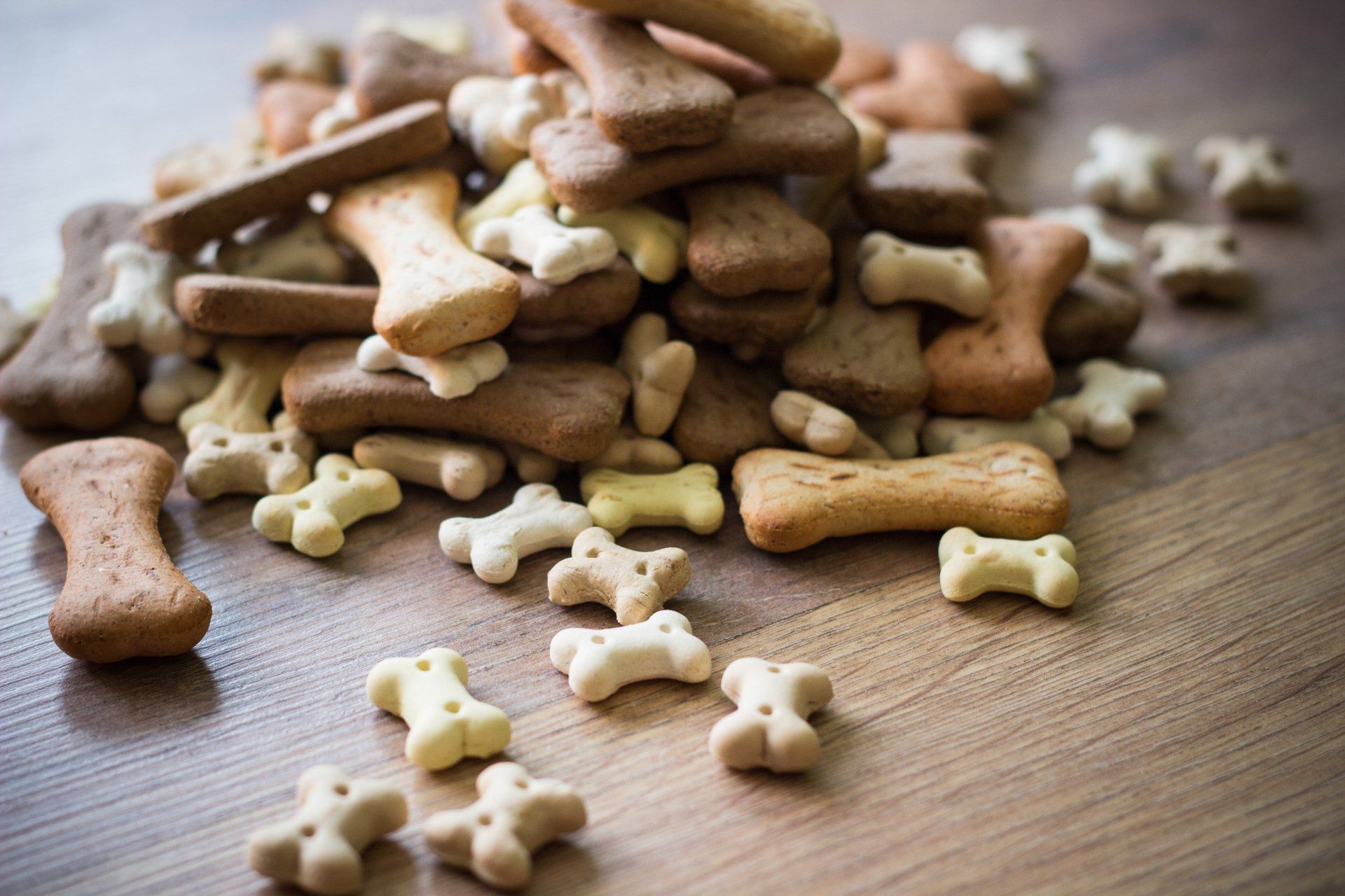 Pet food, dog bones