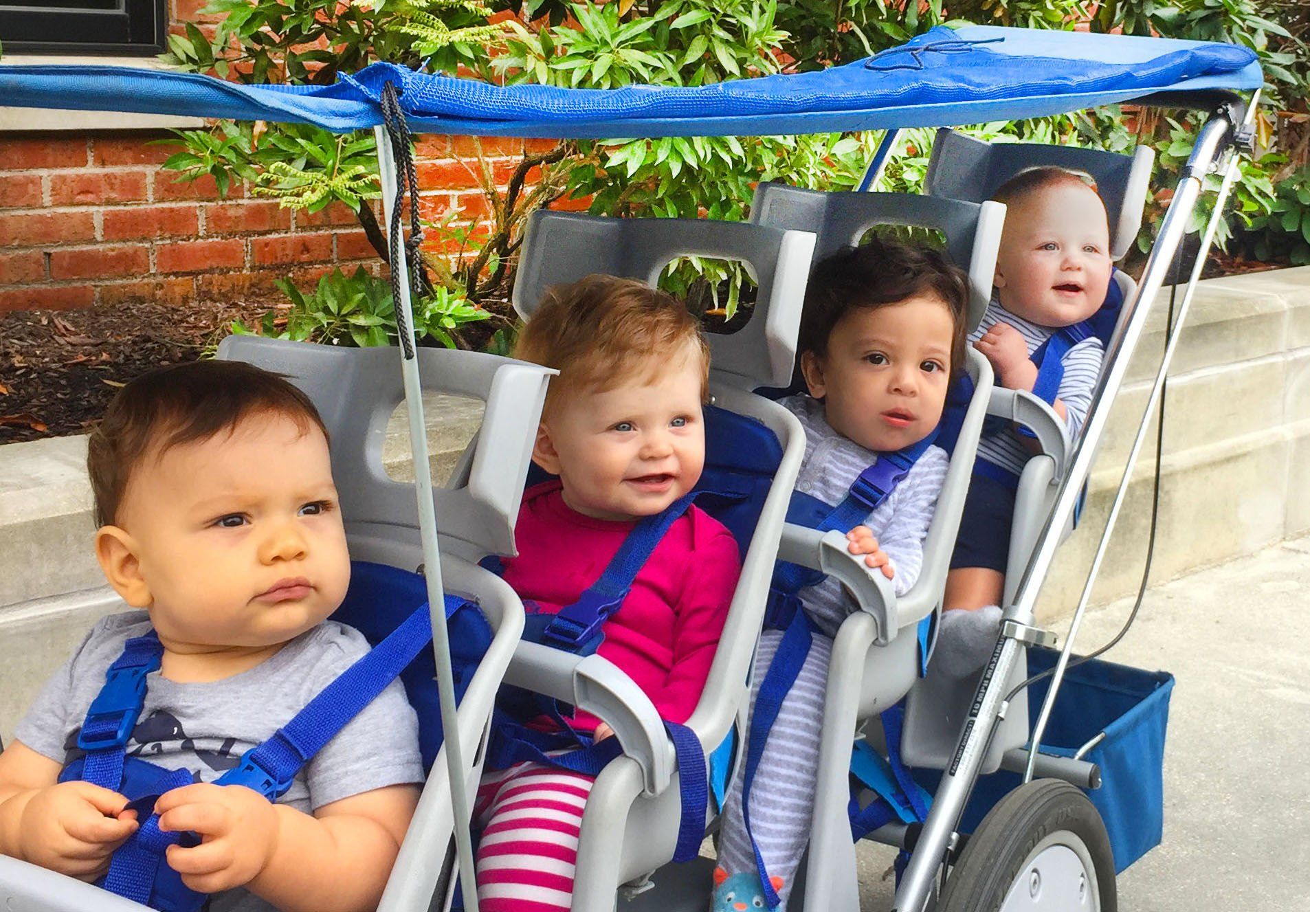 Stroller Rides