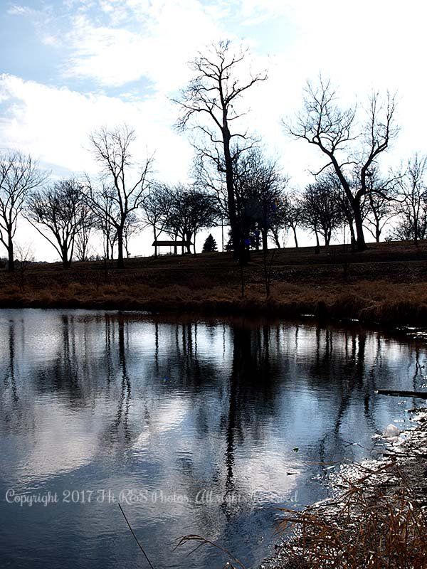 A silhouette of trees is reflected in the water of a lake