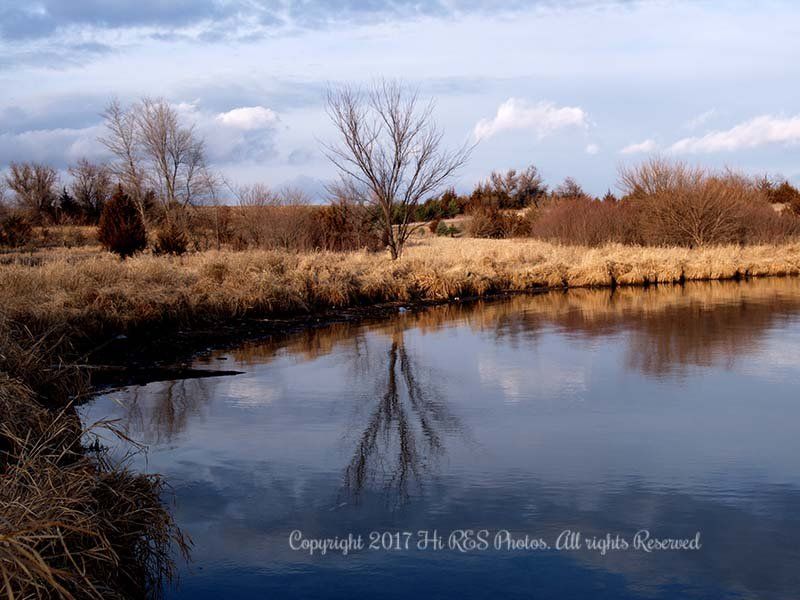 A river with trees and grass on the shore and a reflection of trees in the water.