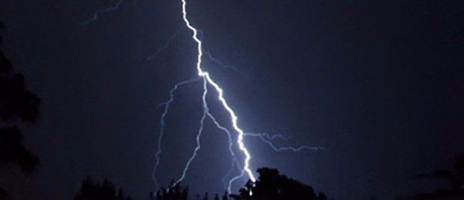 A lightning strike in the night sky with trees in the foreground.