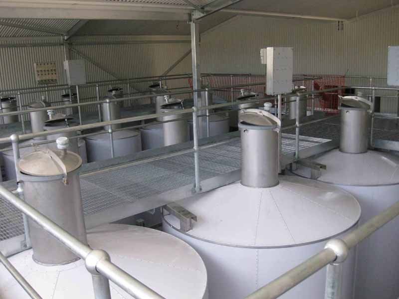 inside tanks
