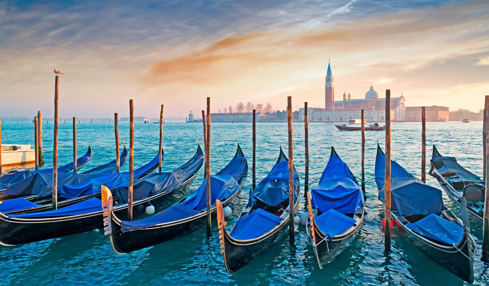 A row of gondolas are docked in a harbor in venice.