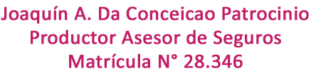 asesor de seguros