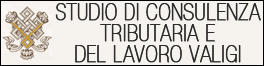 STUDIO DI CONSULENZA TRIBUTARIA E DEL LAVORO VALIGI - LOGO