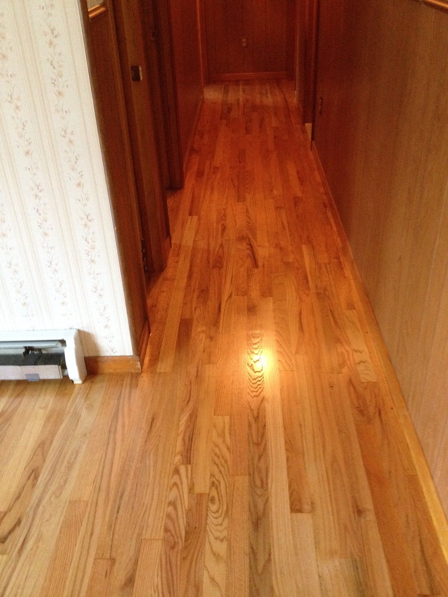 A hallway with hardwood floors and a light on the floor.