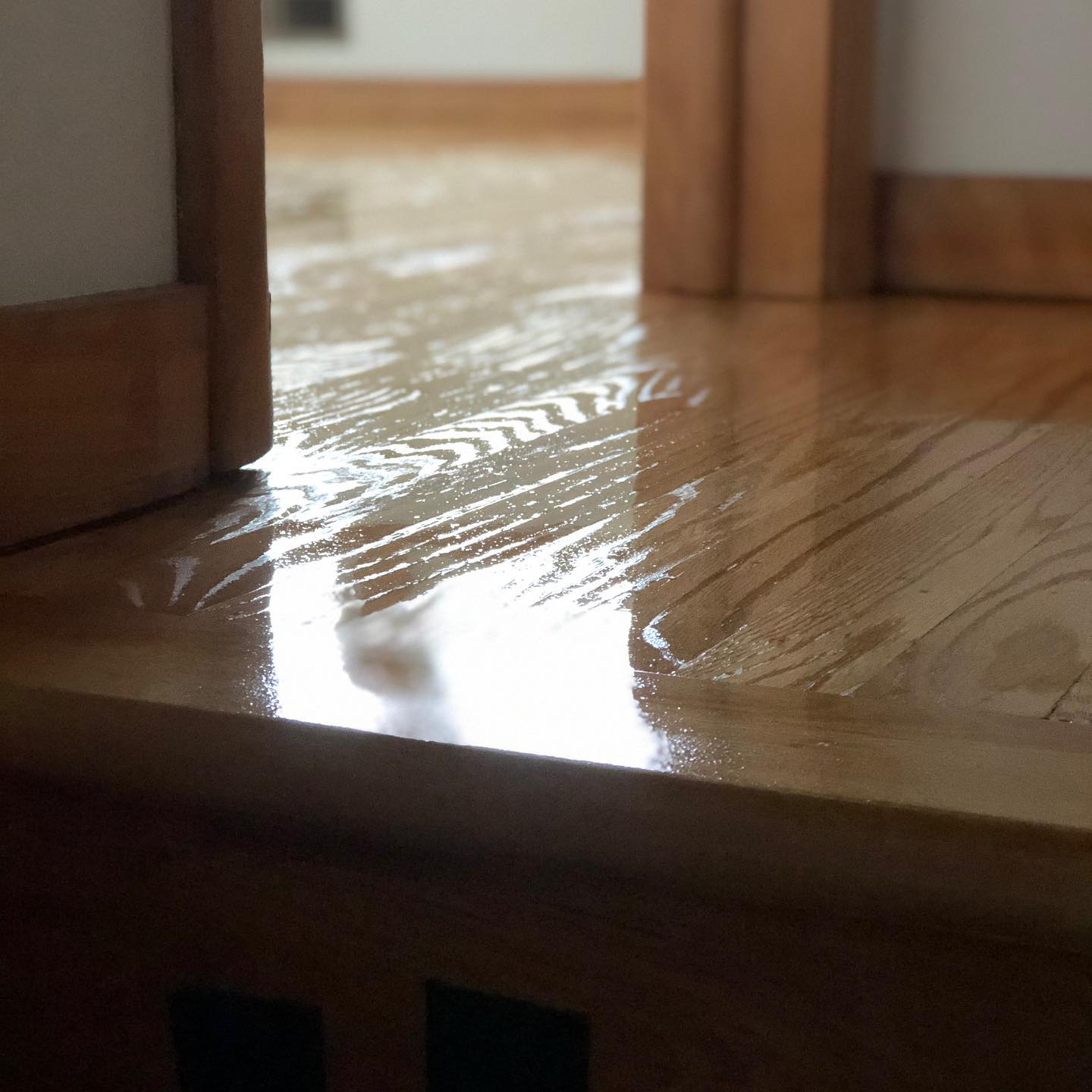 A wooden floor with a door in the background