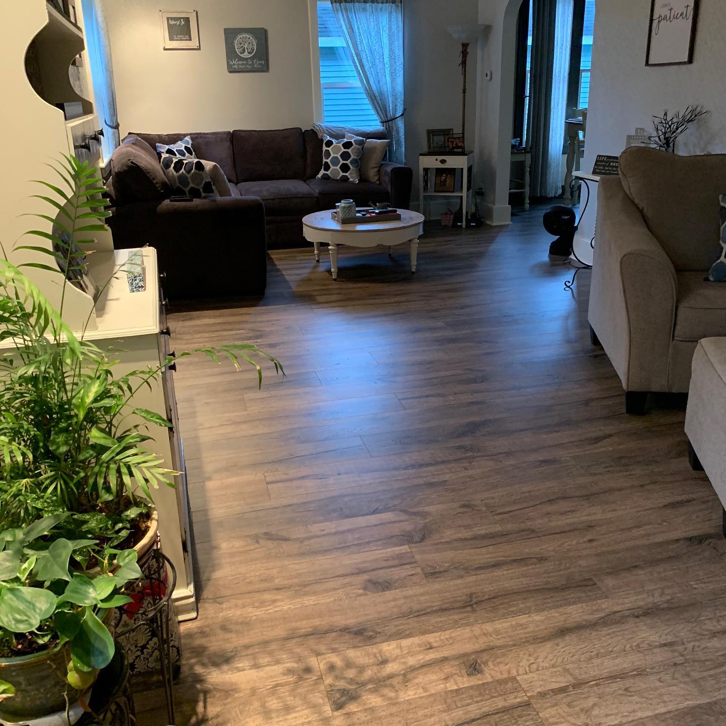 A living room with a couch , chair , coffee table and potted plants.