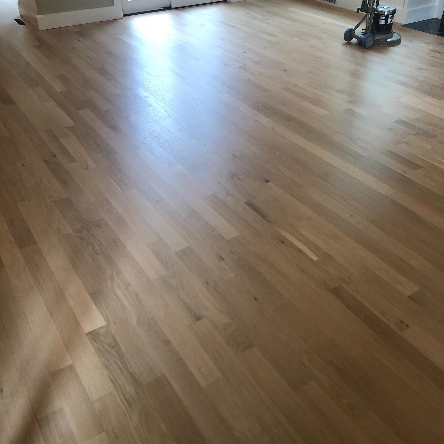 A vacuum cleaner is sitting on a wooden floor in a living room.