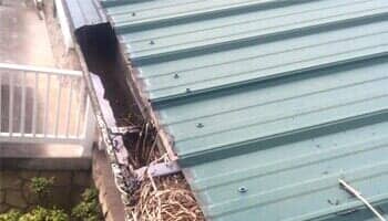 Gutter with trash — gutter cover in Elizabethton, TN