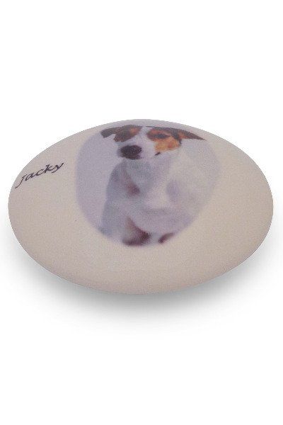 Photo urn for your pet