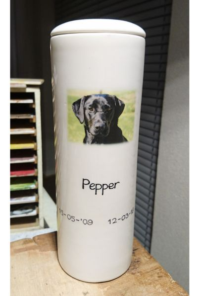 Foto urn hond