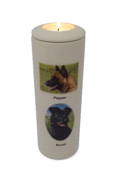 foto urn hond