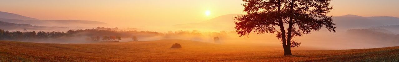 ondergaande zon