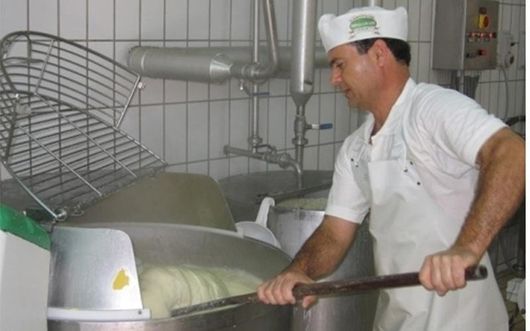 produzione artigianale di prodotti caseari