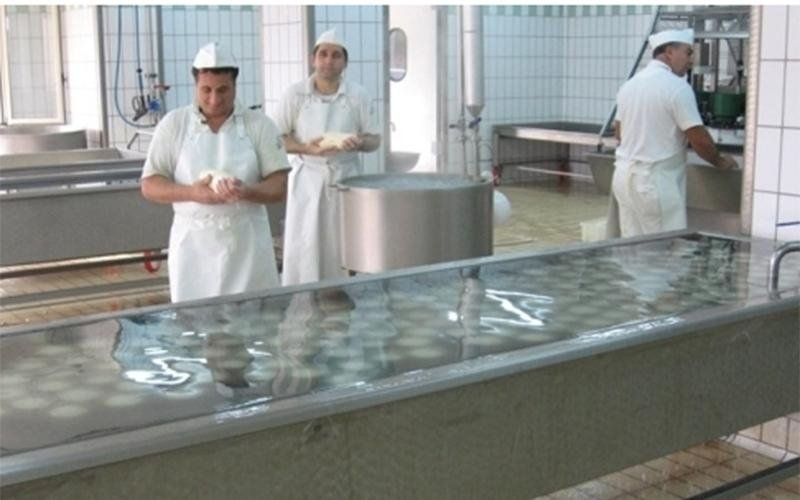 Bocconcini di mozzarella in acqua