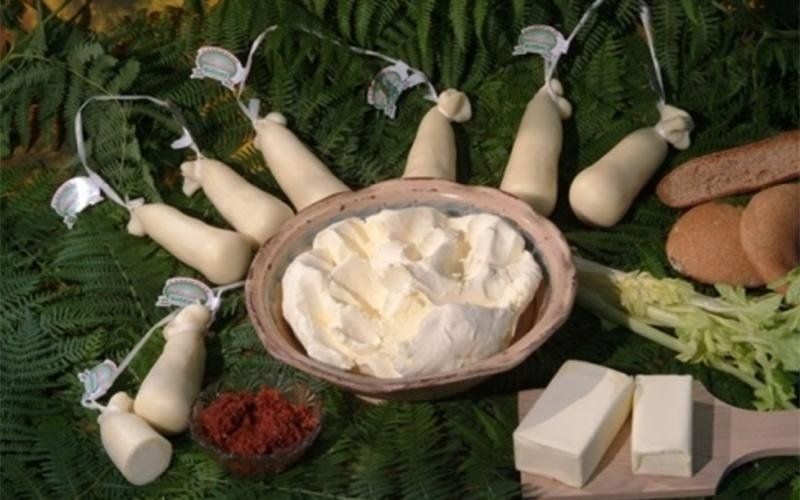 Piatto di ricotta fresca