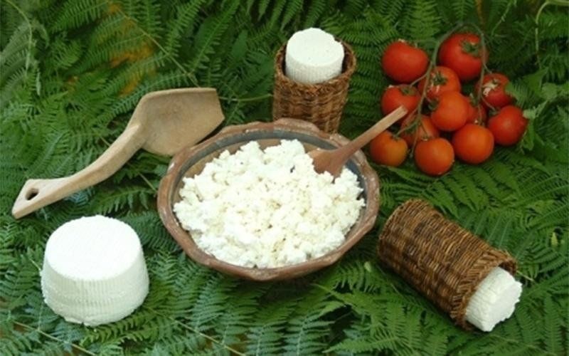 Ricotta vaccina