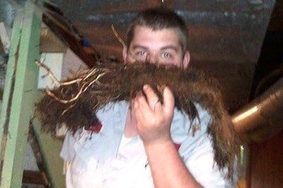 Man Holding Root with Soil — Drain Cleaning in Columbus, OH Man Holding Root with Soil — Drain Cleaning in Columbus, OH