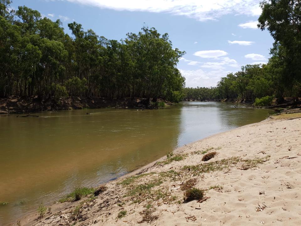 river bank