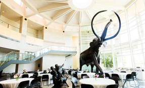 Sam-Noble-Museum