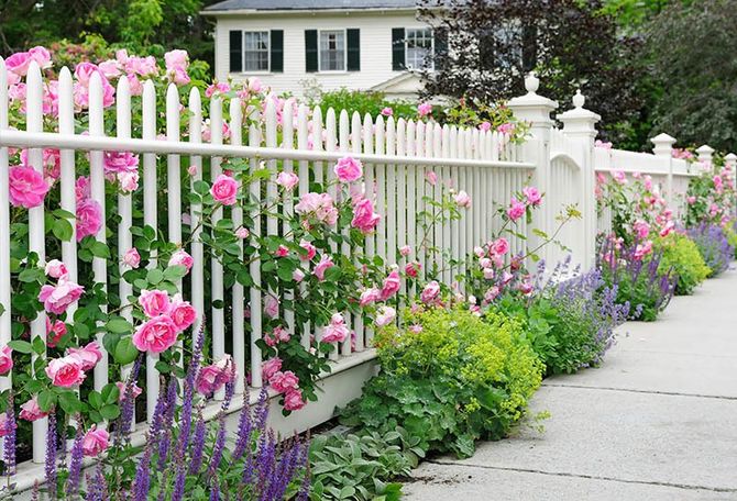 Garden Fence — Fort Myers, FL — Fence Hence Garden Fence — Fort Myers, FL — Fence Hence