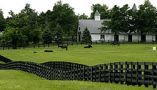 Equine fencing contractor in Nicholasville, KY