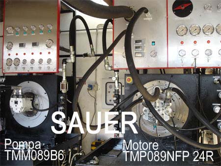 delle pompe e motori Sauer