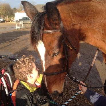 pony club