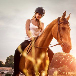 Pferde-Reiten