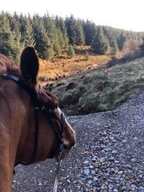 horse riding