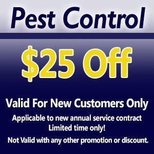 pest-coupon