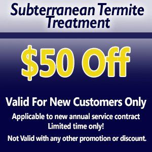 termite-treatment termite-treatment