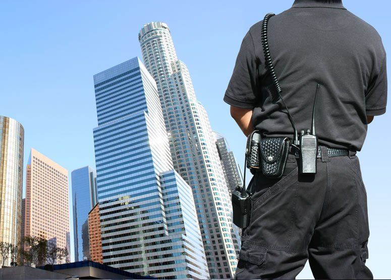 Armed Security