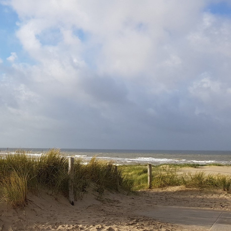 Zandstrand met duinen en houten palen, dat uitloopt in de oceaan onder een bewolkte hemel.