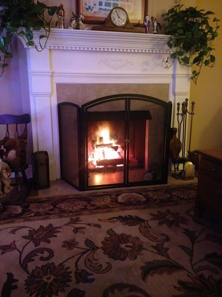 Fireplace with burning fire, flanked by plants and decorative mantel; floral rug in foreground.