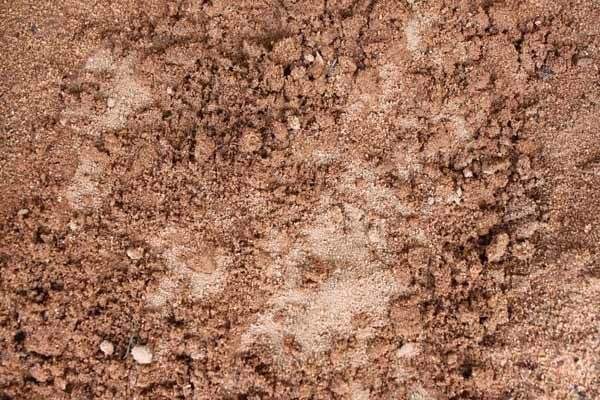 Garden Supplies & Earthmoving & Drainage Contractors Shepparton