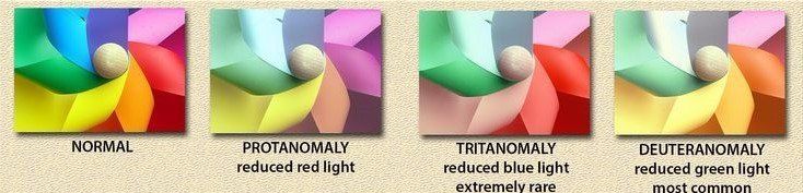 Illustration of the colors affected by color blindness.
