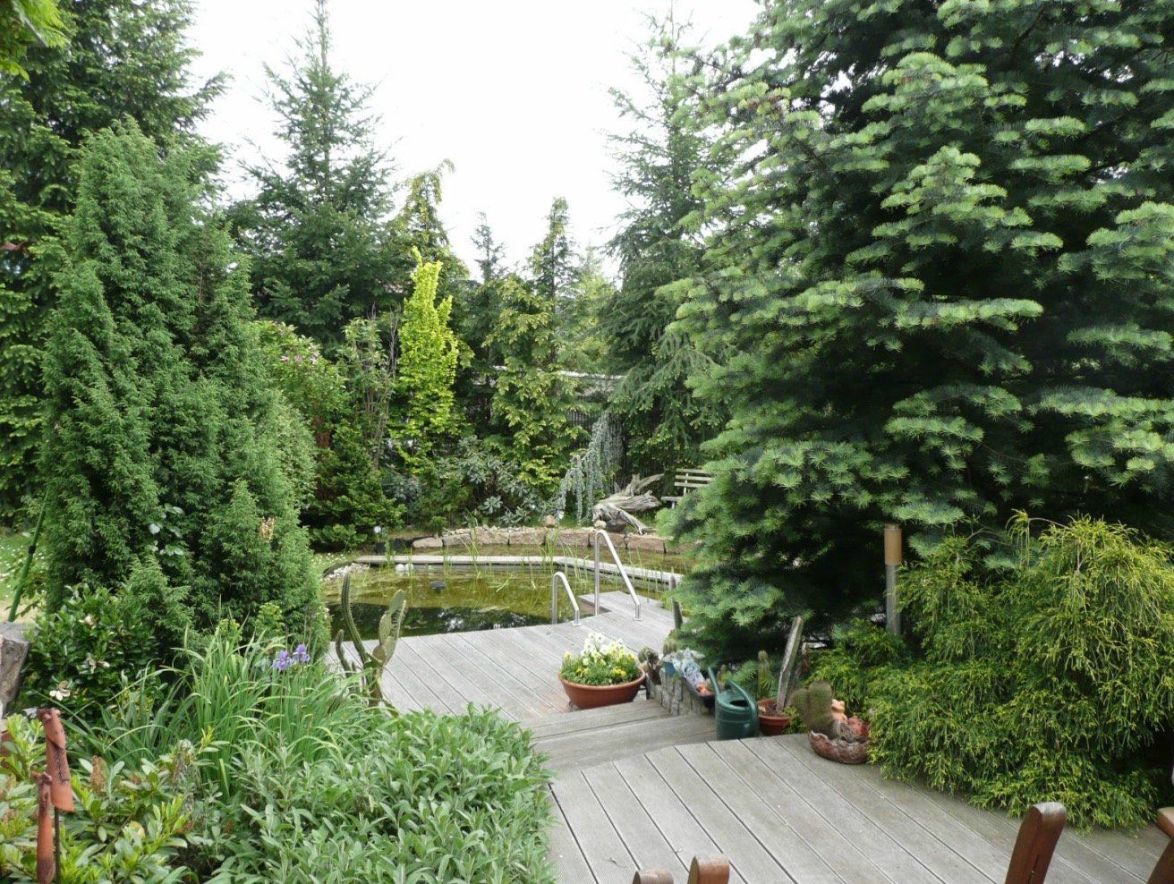 A wooden walkway leading to a pond surrounded by trees